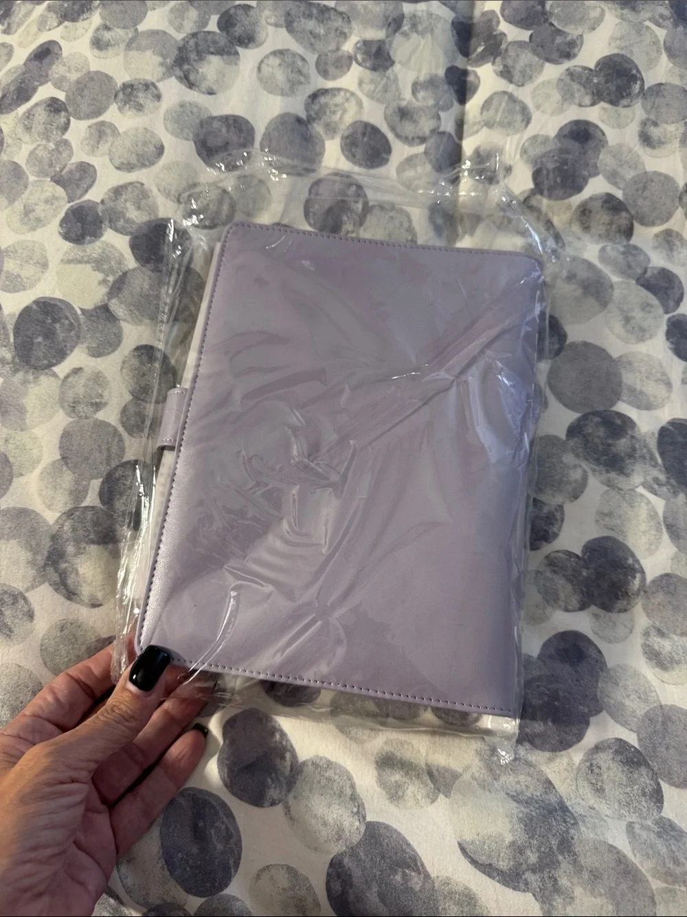 Money Saving Envelope Binder - Lavender Organizer